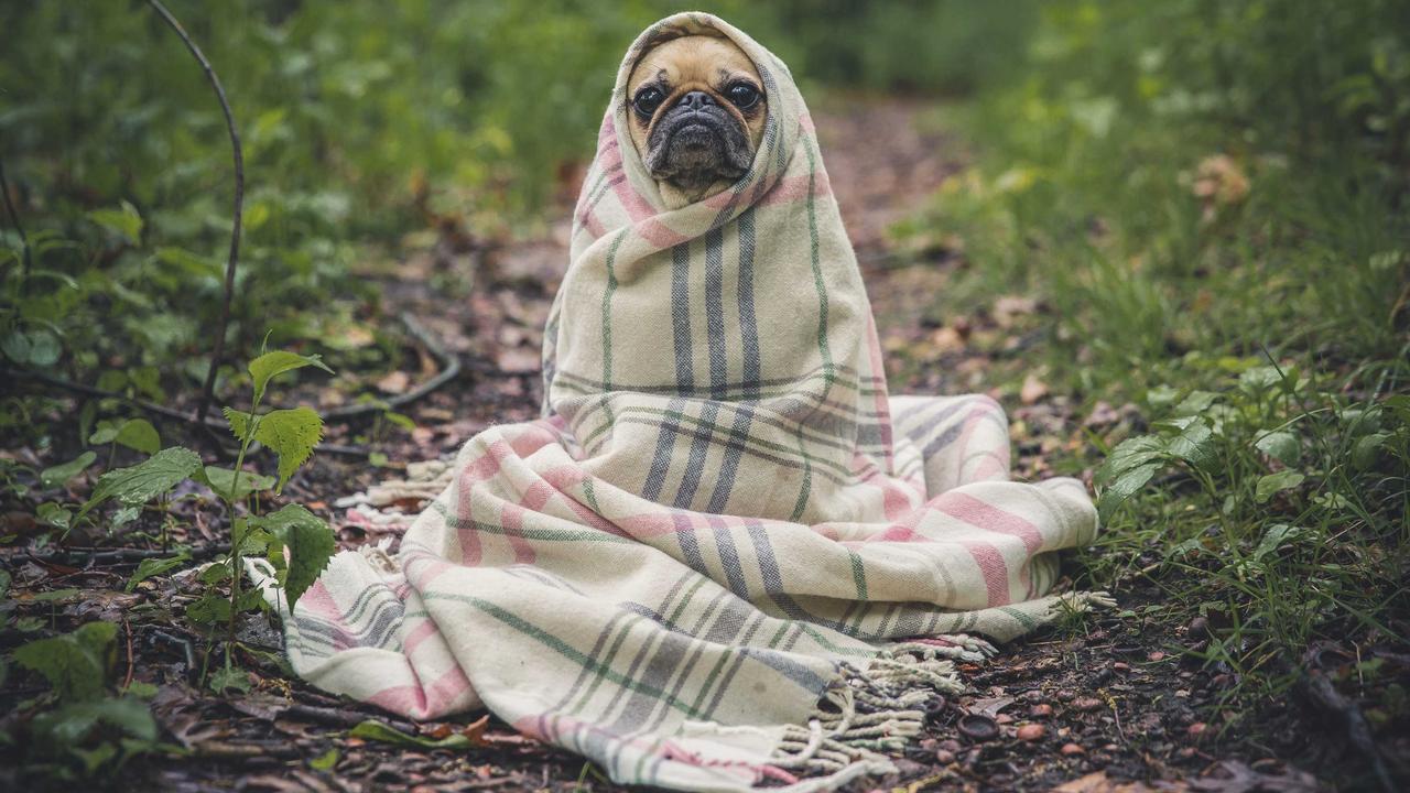 Trend koji osvaja srpske domove: dizajneri tvrde da je to budućnost